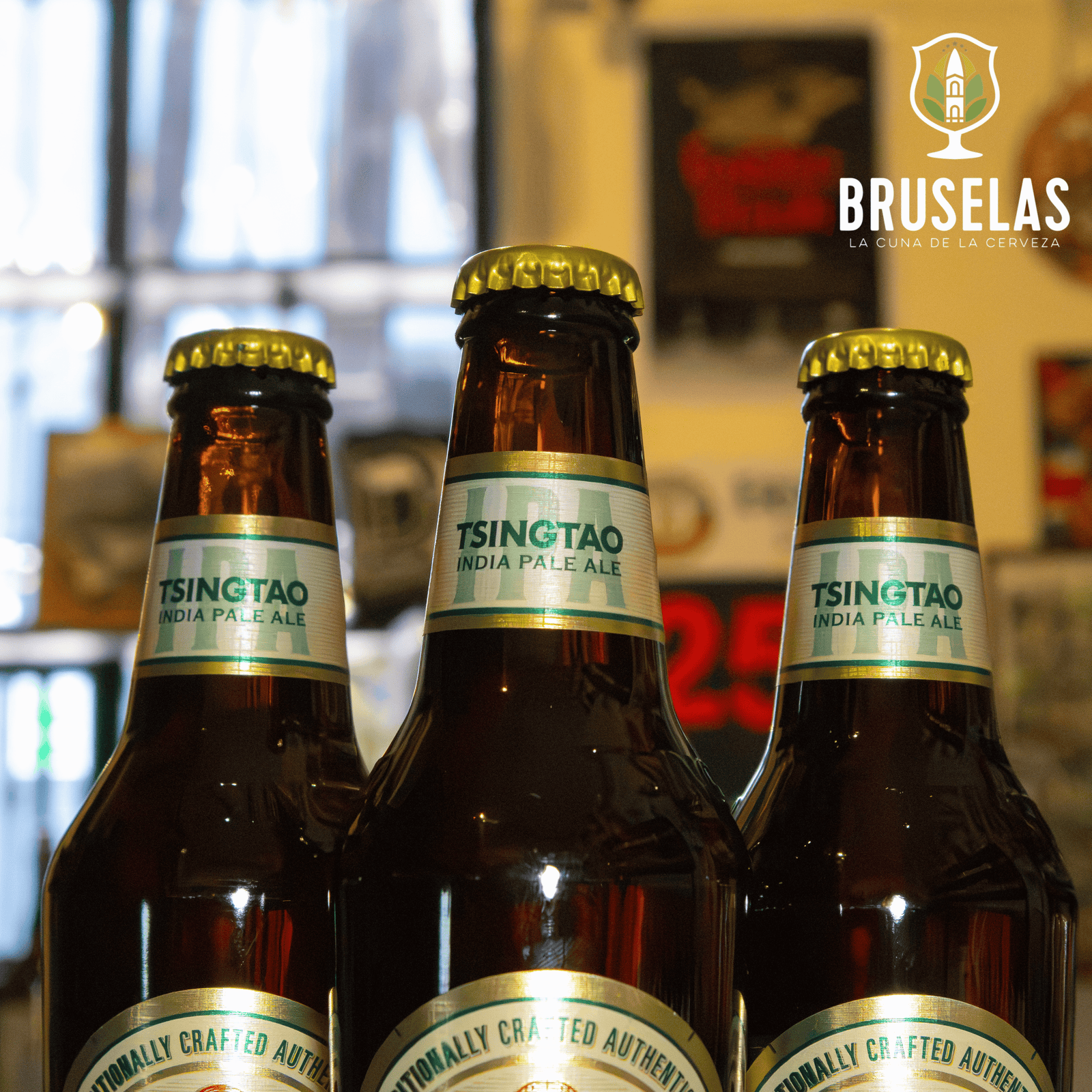 Tsingtao - Ipa