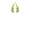 Bruselas Beer Boutique