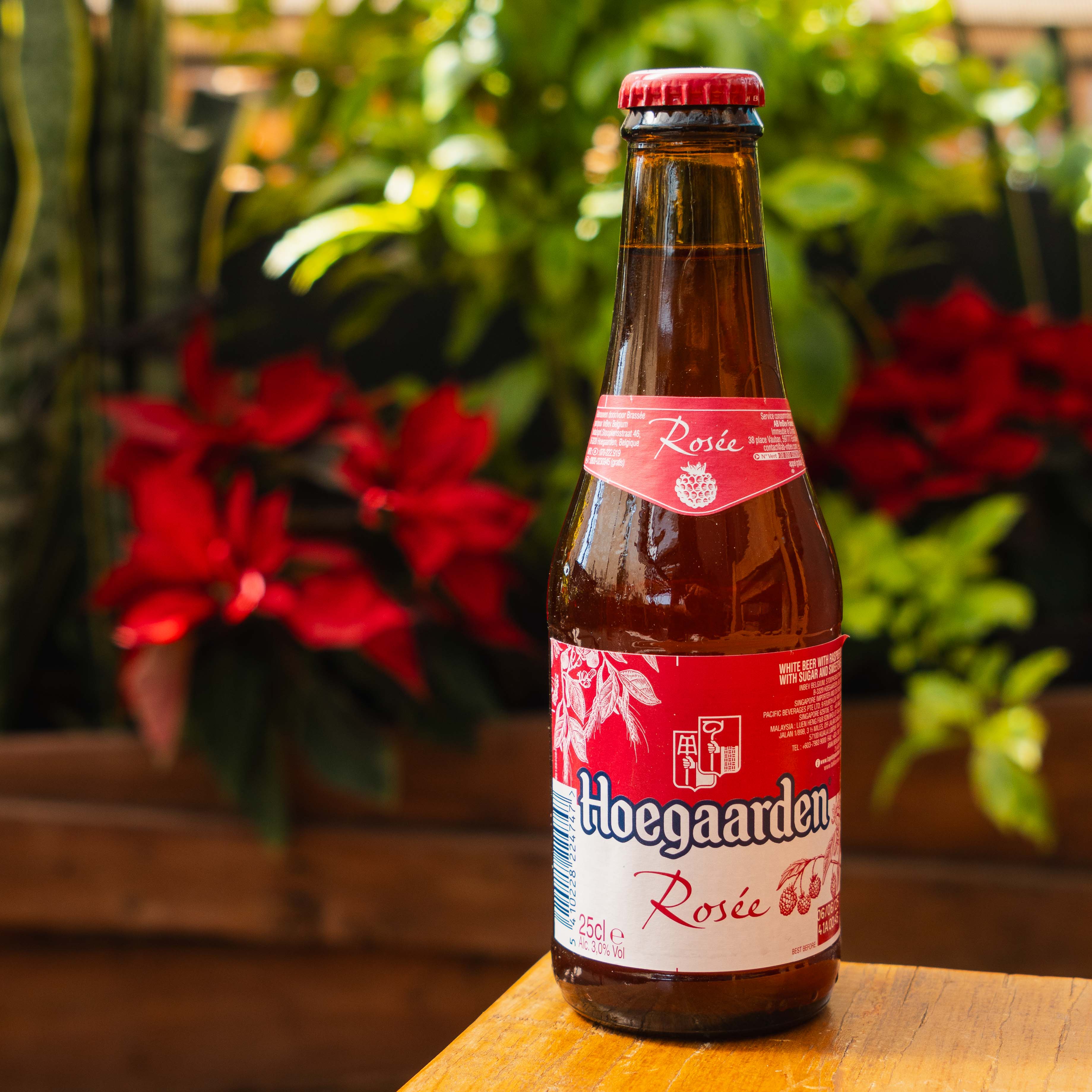 Fotografia de cerveza hoegaarden rosée