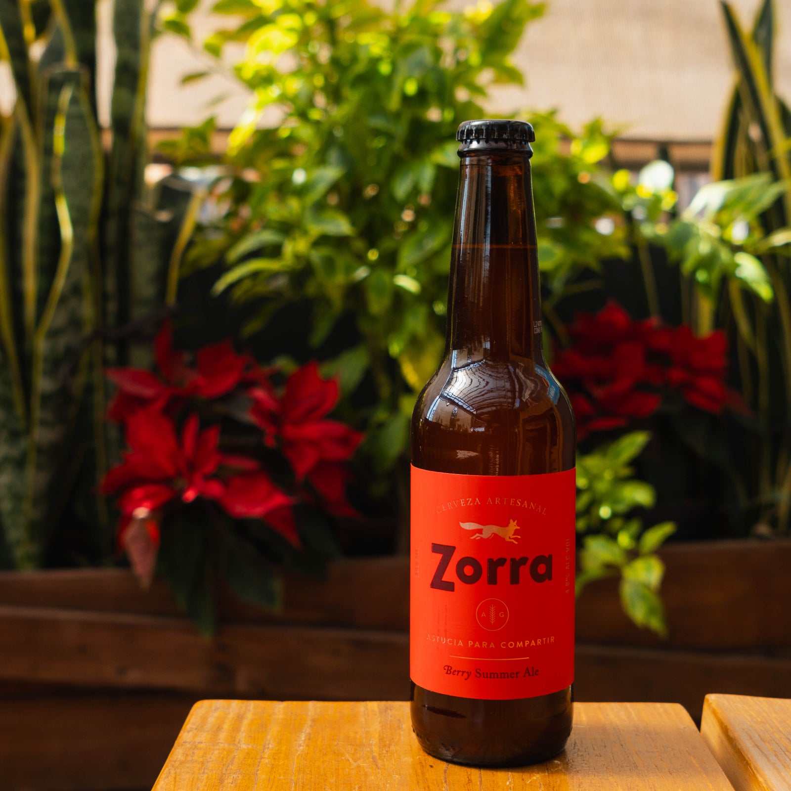 Zorra - Berry Summer Ale