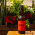 Zorra - Berry Summer Ale