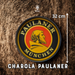 Paulaner - Charola Plástica- BruselasBeer