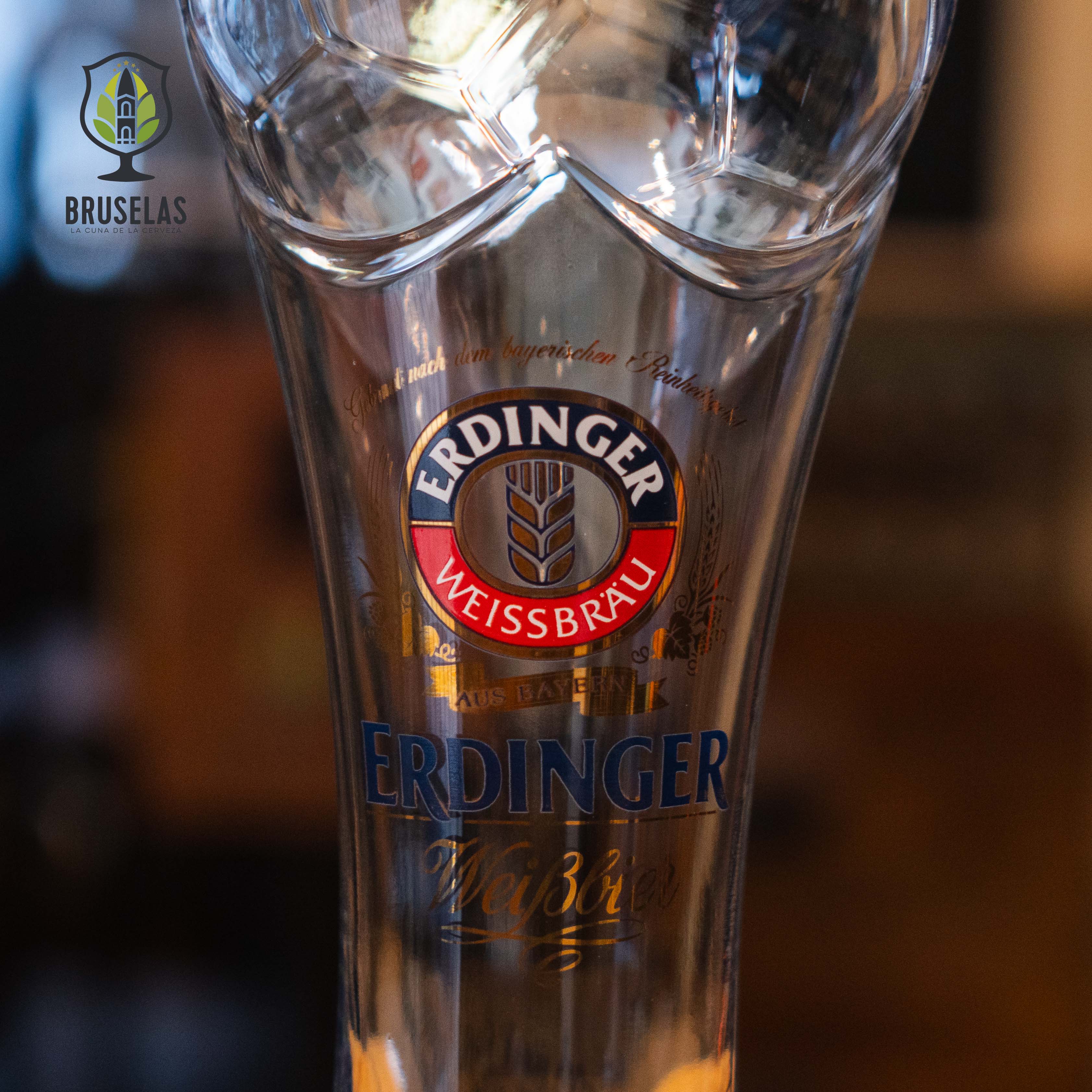 Erdinger - Pinta Germany 2024- BruselasBeer